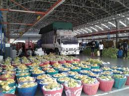Bisnis Agrowisata Peternakan Buah-buahan Lokal di Thailand