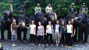 Sebuah Bisnis Tour Petualangan Ekoturisme di Thailand